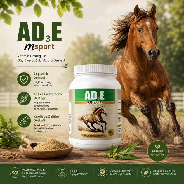 MsPort AD3E 1kg