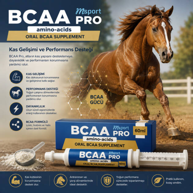 Msport BCAA Amino Acids 60ml