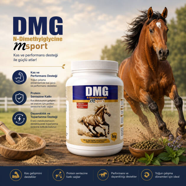 Msport DMG N-Dimethylglycine 1kg
